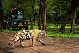 Национальный парк Рантхамбор