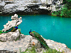 Гагра - джипинг* (озеро Рица - Гегский водопад - минеральный источник Ауадхара - альпийские луга)
